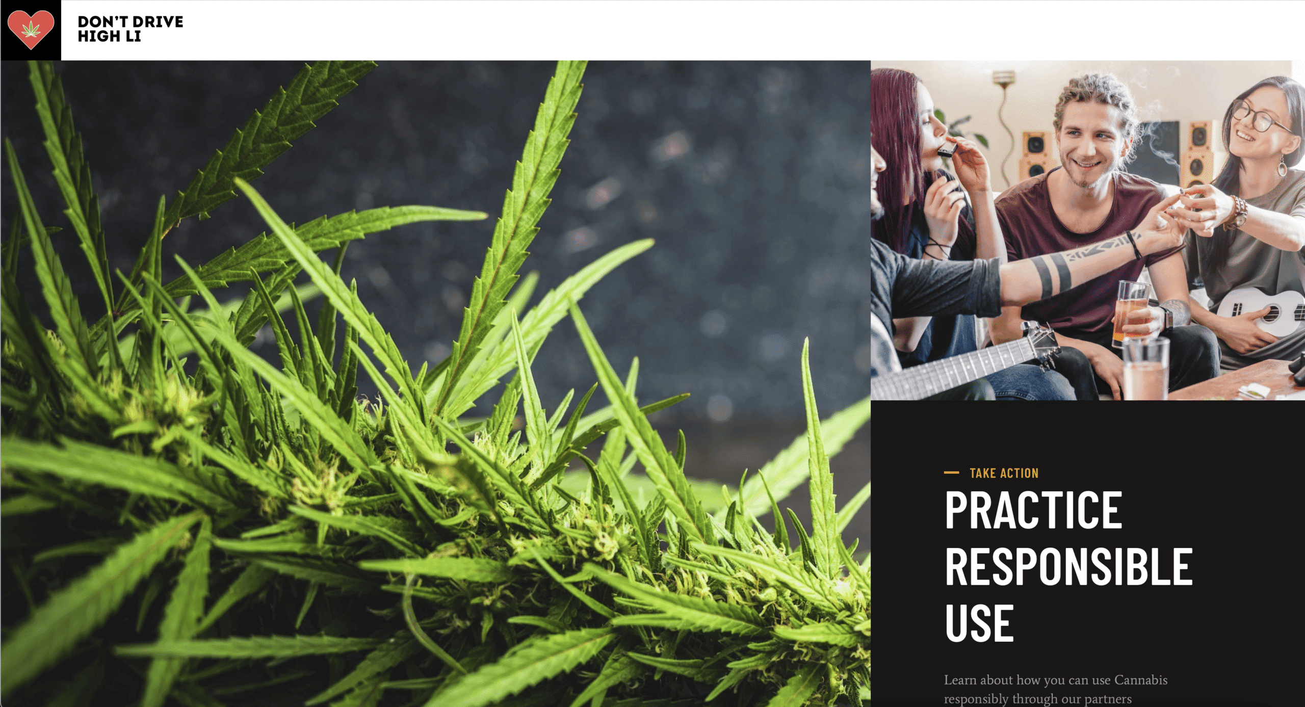 Home page of the Don’t Drive High LI campaign website