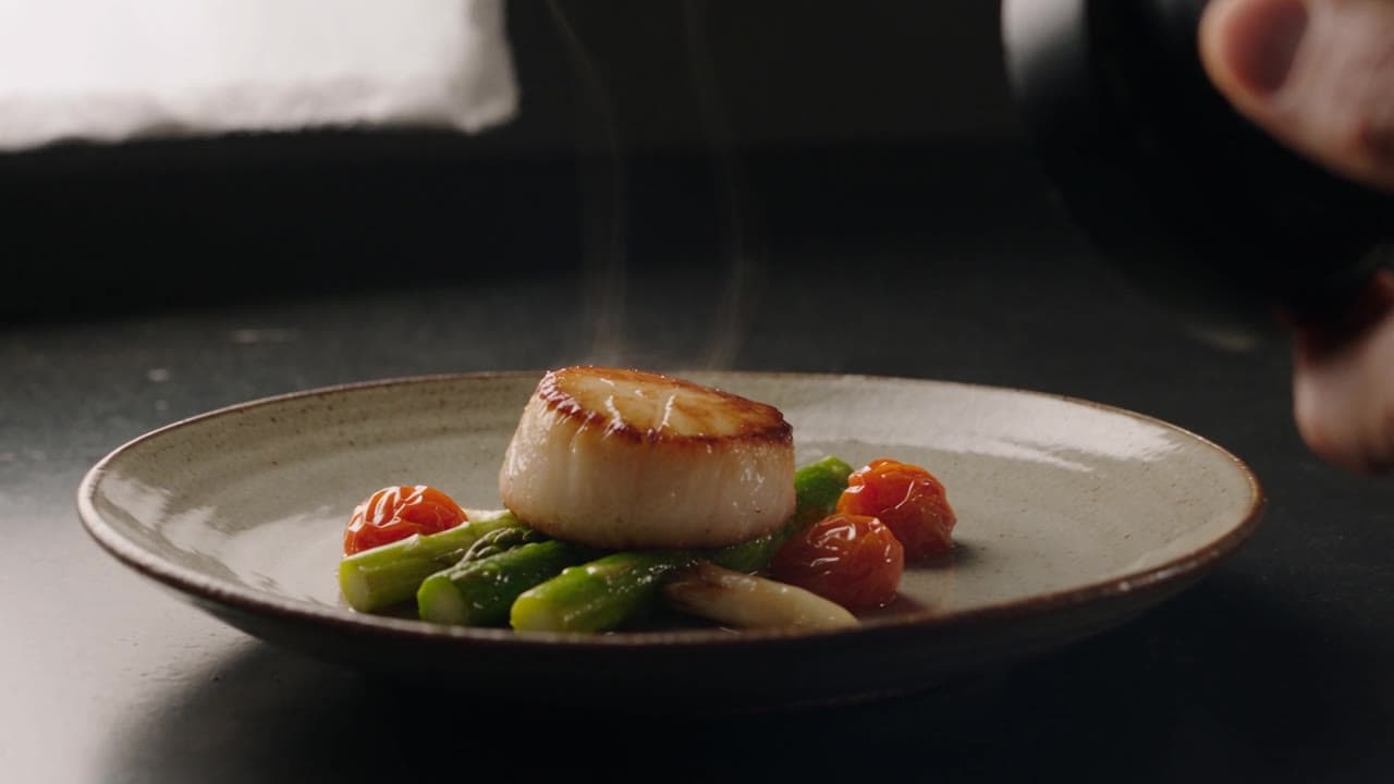 A plated dish photographed under a softbox