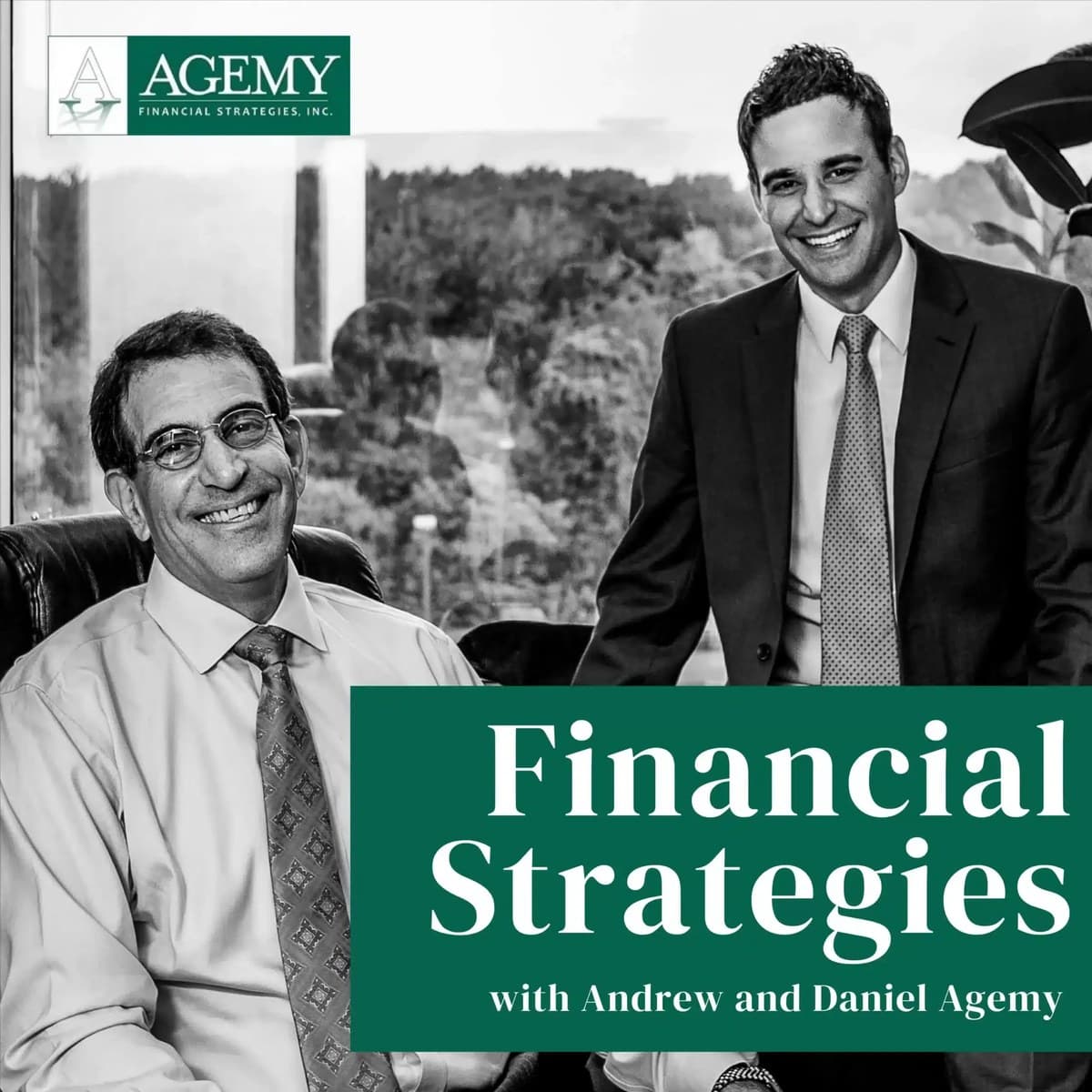 Cover art for Financial Strategies, with Andrew and Daniel Agemy