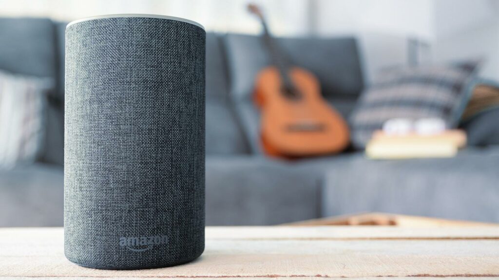 Alexa skills services on Long Island