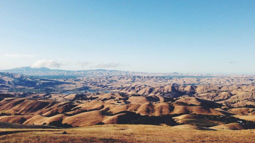 AI Search Revolution: What Long Island Small Businesses Need to Know