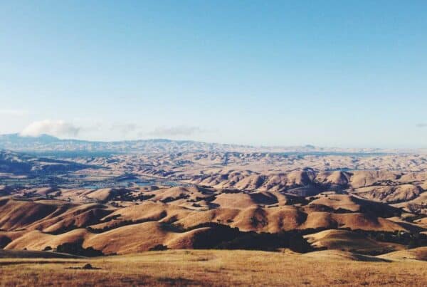 AI Search Revolution: What Long Island Small Businesses Need to Know