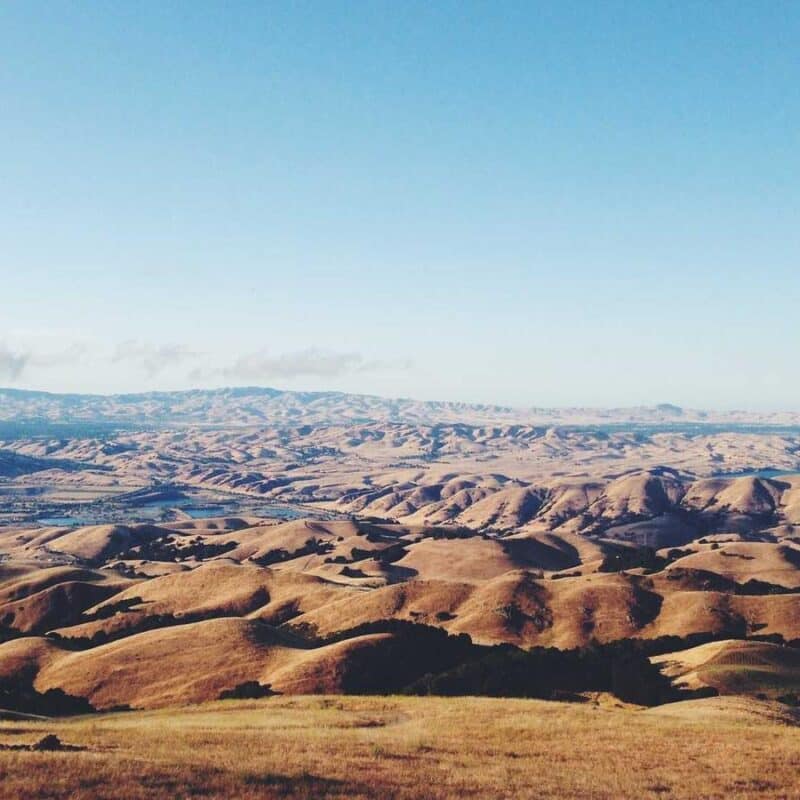 AI Search Revolution: What Long Island Small Businesses Need to Know